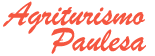 Logo Paulesa